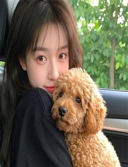 【深度分析】《帮帮龙出动玩具总动员》的表演艺术与角色塑造 从艺术角度分析为你详细解读